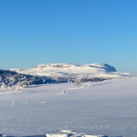 Koselig Familiehytte Pa Vakre Dagali - Naer Geilo Eksteriør bilde